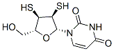 Structure of 2,3-DITHIOURIDINE