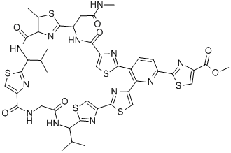 Structure of amythiamicin D