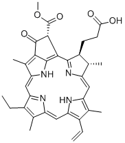 Structure of Pheophorbide A