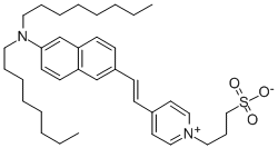 Structure of 4-(2-[6-(DIOCTYLAMINO)-2-NAPHTHALENYL]ETHENYL)-1-(3-SULFOPROPYL)PYRIDINIUM INNER SALT