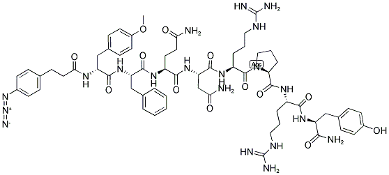 Structure of (3-(4-AZIDOPHENYL)PROPIONYL1,D-TYR(ME)2,ARG6, ARG8,TYR-NH2(9))-VASOPRESSIN