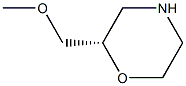 Structure of Morpholine, 2-(MethoxyMethyl)-, (2S)-