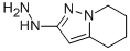 Structure of PYRAZOLO[1,5-A]PYRIDIN-2(1H)-ONE,4,5,6,7-TETRAHYDRO-,HYDRAZONE