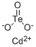 Structure of CADMIUM TELLURITE