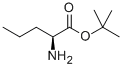 Structure of L-NORVALINE T-BUTYL ESTER