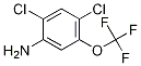 2,4-二氯-5-三氟甲氧基苯胺结构式
