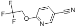 Structure of 6-(2,2,2-TRIFLUOROETHOXY)PYRIDINE-3-CARBONITRILE
