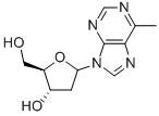 Structure of 6-methylpurine 2-deoxyriboside