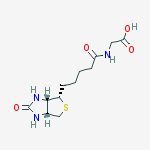 Structure of N-BIOTINYL GLYCINE