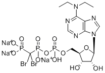 Structure of 6-N,N-DIETHYL-D-BETA-GAMMA-DIBROMOMETHYLENE ATP