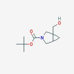 Structure of Tert-butyl 1-(hydroxymethyl)-3-azabicyclo[3.1.0]hexane-3-carboxylate
