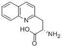 Structure of (S)-2-AMINO-3-QUINOLIN-2-YL-PROPIONIC ACID