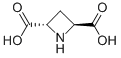 Structure of (+/-)-TRANS-AZETIDINE-2,4-DICARBOXYLIC ACID