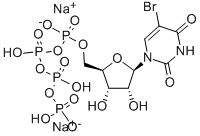 Structure of 5-BROMOURIDINE 5-TRIPHOSPHATE SODIUM
