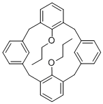 Structure of 25,27-DIPROPOXYCALIX[4]ARENE