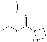 Structure of 2-Azetidinecarboxylic acid, ethyl ester, hydrochloride (1:1)