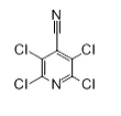 Structure of 2,3,5,6-TETRACHLOROISONICOTINONITRILE