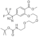 Structure of 2-[2-[2-(2-t-Boc-aminoethoxy]ethoxy]ethoxy]-4-[3-(trifluoromethyl)-3H-diazirin-3-yl]benzoic Acid, Methyl Ester