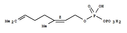 Structure of (2Z)-3,7-dimethylocta-2,6-dien-1-yl trihydrogen diphosphate
