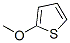 Structure of 2-Methoxythiophene