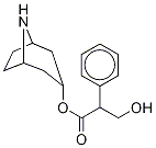 Structure of Noratropine