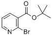 Structure of TERT-BUTYL-2-BROMONICOTINATE