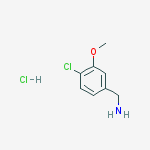 Structure of (4-chloro-3-methoxyphenyl)methanamine;hydrochloride