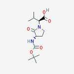 Structure of N-BOC-FREIDINGERS LACTAM