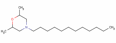 Structure of ALDIMORPH