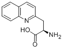 Structure of (R)-2-AMINO-3-QUINOLIN-2-YL-PROPIONIC ACID