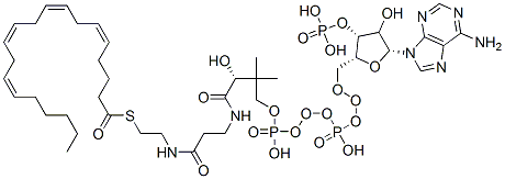 Structure of 5Z,8Z,11Z,14Z-eicosatetraenonyl-CoA