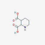 Structure of 2,3-Piperidine dicarboxylic acid