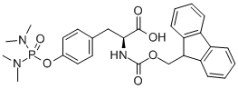 Structure of N-ALPHA-FMOC-O-(BIS-DIMETHYLAMINO-OXO-PHOSPHINO)-L-TYROSINE