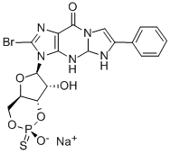 Structure of 8-BROMO-BETA-PHENYL-1,N2-ETHENOGUANOSINE 3:5-CYCLIC MONOPHOSPHOROTHIOATE SODIUM SALT