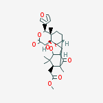 Cas Number: 173693-50-0