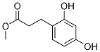 Structure of Methyl 3-(2,4-dihydroxyphenyl)propionate