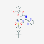 Structure of 4-(tert-Butyl)-N-[6-hydroxy-5-(2-methoxyphenoxy)-(2,2'-bipyrimidin)-4-yl]benzenesulfonamide