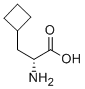 Structure of D-Cyclobutylalanine