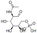 Structure of [(2R,3S,4R,5R)-5-acetamido-2,3,4-trihydroxy-6-oxo-hexoxy]phosphonic acid