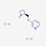 Structure of (S)-3-(2-Azetidinylmethoxy)-pyridine dihydrochloride