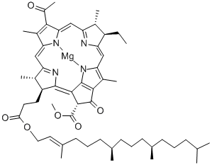 Structure of BACTERIOCHLOROPHYLL