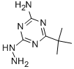Structure of 2-AMINO-4-TERT-BUTYL-6-HYDRAZINO-S-TRIAZINE