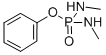 Structure of phenyl N,N-dimethylphosphorodiamidate