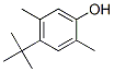 Structure of 4-tert-butyl-2,5-xylenol