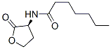 Structure of C7-HSL
