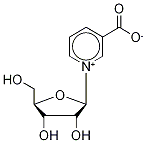 Structure of nicotinic acid ribonucleoside
