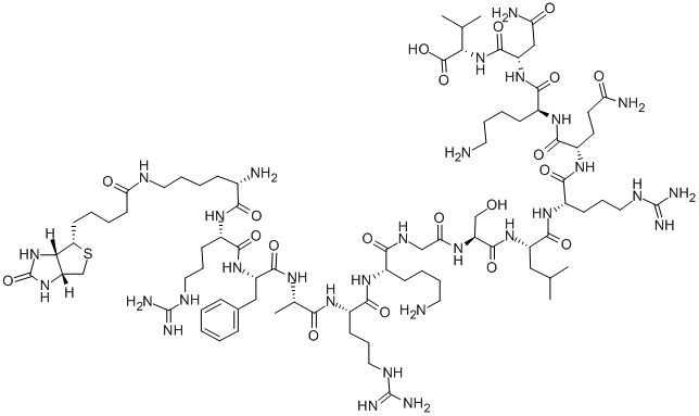 Structure of K(BIOTIN)-RFARKGSLRQKNV