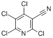 Structure of 2,4,5,6-TETRACHLORO-NICOTINONITRILE