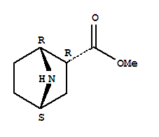 Structure of 7-Azabicyclo[2.2.1]heptane-2-carboxylicacid,methylester,(1R,2R,4S)-rel-