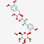 Structure of salviaflaside